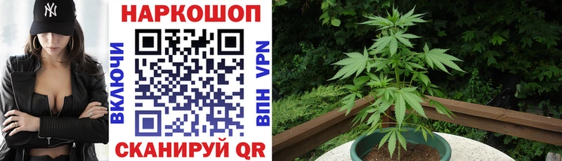 Купить наркотики сайты Каменск-Шахтинский СОЛЬ  mega сайт  ГАШИШ 