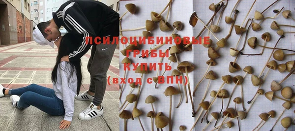 дурь Верхний Тагил