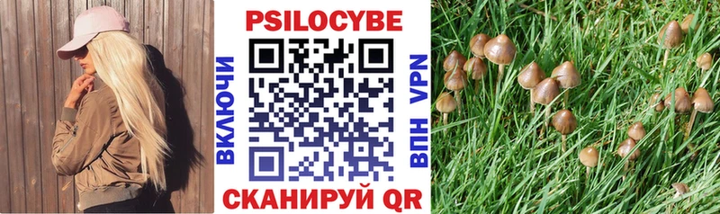 Галлюциногенные грибы Cubensis Каменск-Шахтинский